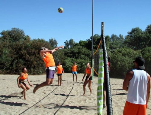 Sand Volley